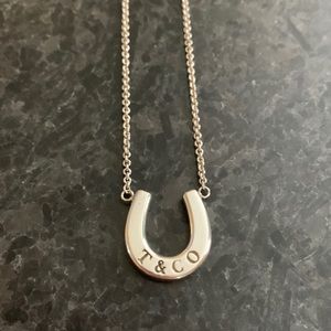 Tiffany&Co. Lucky Horseshoe Pendant on Fine Chain
